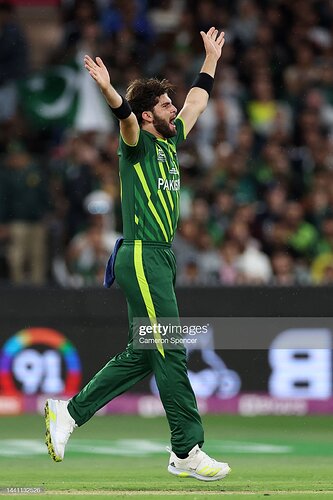 Shaheen